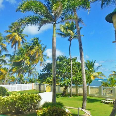 Crystal Blue Apartment Luquillo Exterior photo